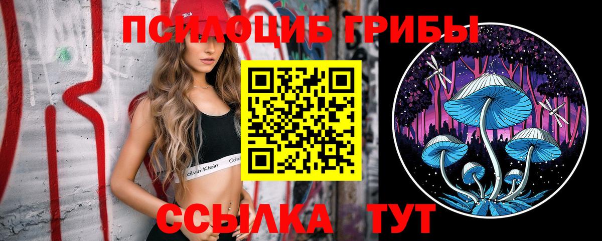 Псилоцибиновые грибы мицелий Кирово-Чепецк