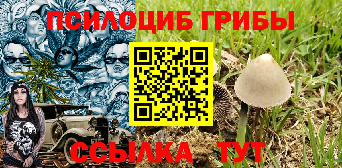 Кирово-Чепецк  Галлюциногенные грибы прущие грибы  как найти   Вход с VPN 